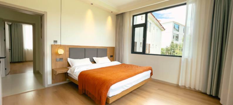 富莱轻奢民宿(丽江古城店)图片