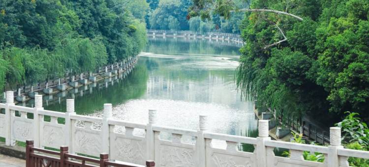 井研国宾主题酒店图片