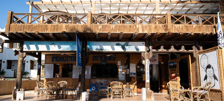 达哈布企鹅村酒店(Penguin Village Dahab)图片