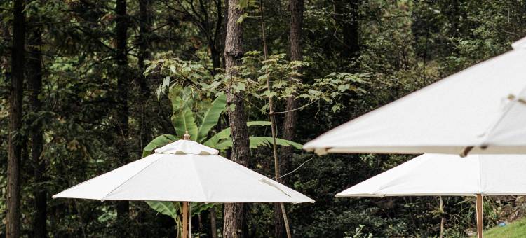 景德镇行山世外∙东篱院民宿(三宝国际陶艺村店)图片