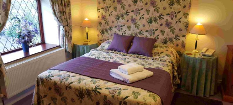 OYO 胡桃树(OYO The Walnut Tree)图片