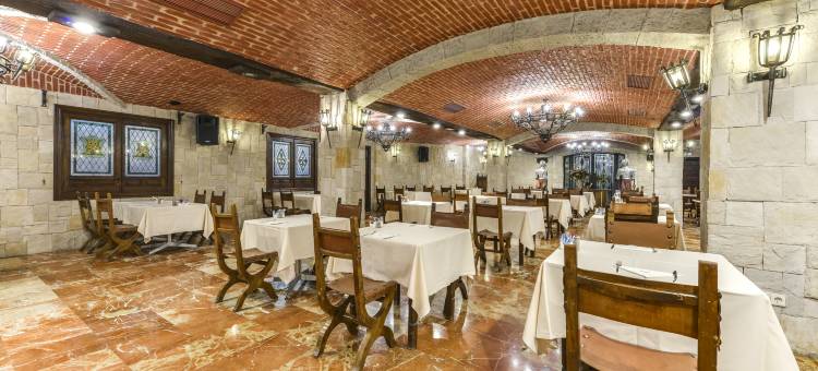 赛尔科特尔阿方索六世酒店(Sercotel Alfonso VI)图片