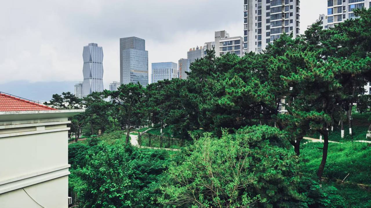 连云港金陵神州宾馆图片