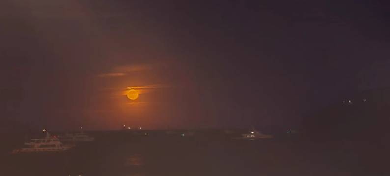 朱家尖馨雅居别墅图片