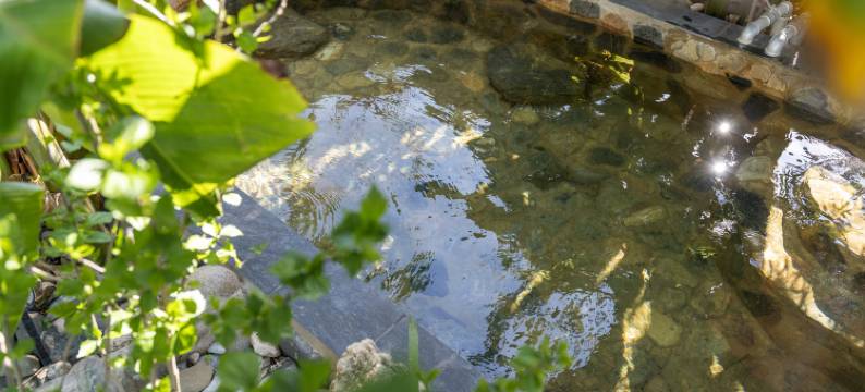 安隐温泉民宿(牛街店)图片