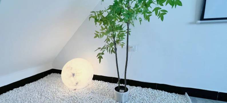 福州花间逸境民宿(上下杭景区店)图片