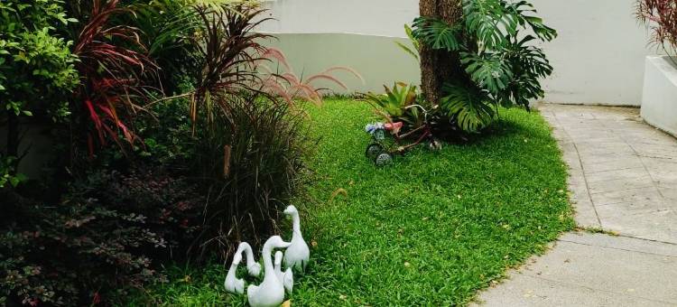 清莱克汉查拿酒店(Khamthana the Colonial Hotel Chiangrai)图片