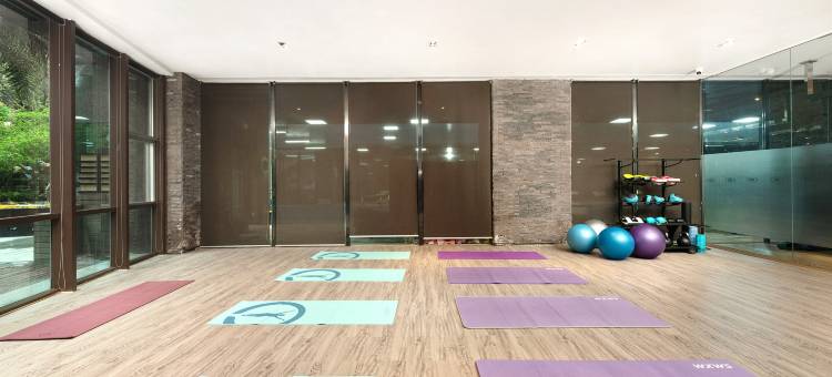 成都新希望高新中心假日酒店图片