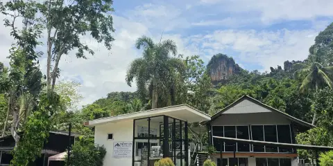 Nahm Khao Sok Hostel and Camping