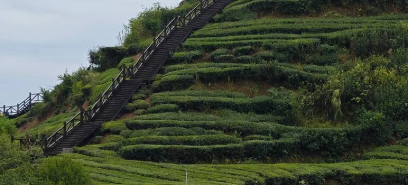 山禾小苑民宿图片