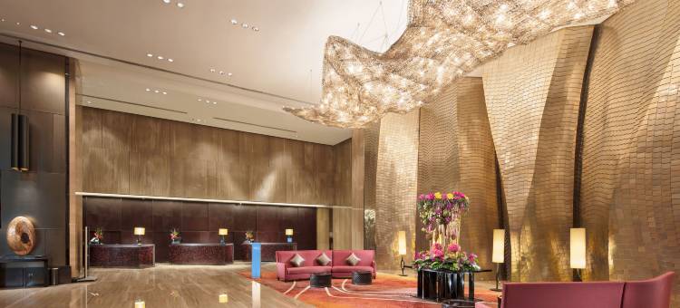 广州天河希尔顿酒店图片