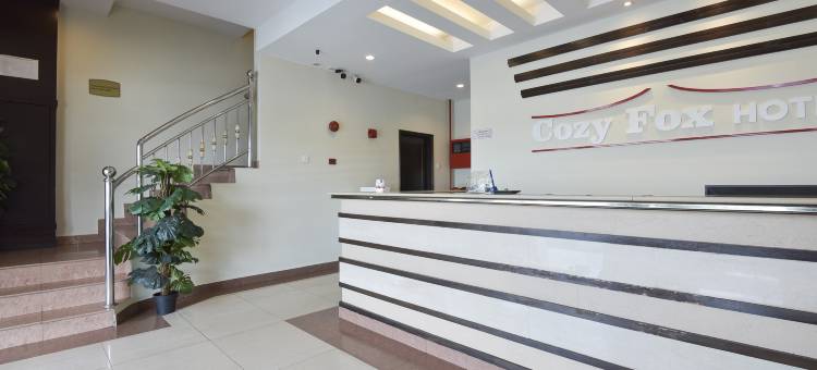 OYO 91158 舒适狐狸酒店(Hotel O Cozy Fox Hotel)图片