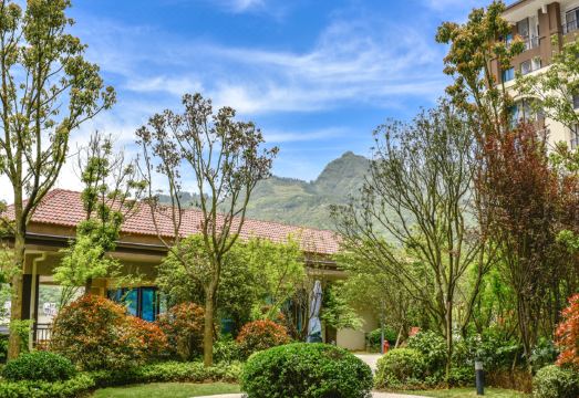 Zhangjiajie Country Garden Zijinhuashe HotelHotel Overview