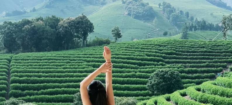 树下小白屋·小羊肖恩主题民宿(安吉白茶观景平台店)图片