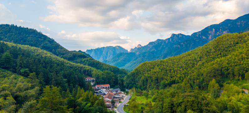 九华山竹林人家民宿图片