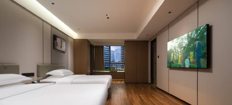 海口小椰子度假酒店(国际会展中心店)图片