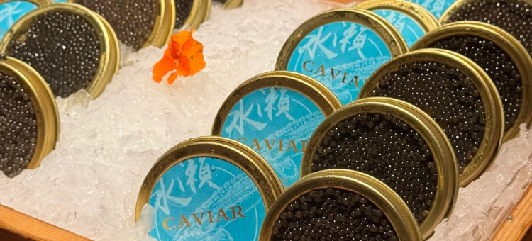 希柏顿艺术酒店(上饶万年财富步行街润丰购物广场店)图片