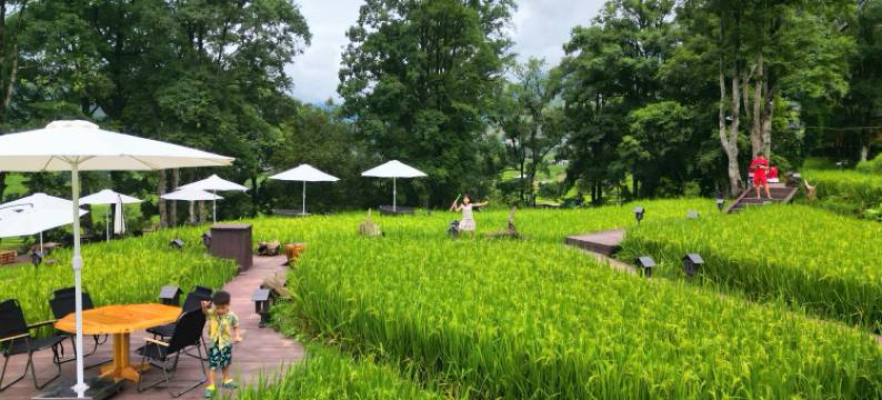 MT山脚下的房子(MT House Sa Pa - Mountain & Terraced fields View And Trekking Tour)图片