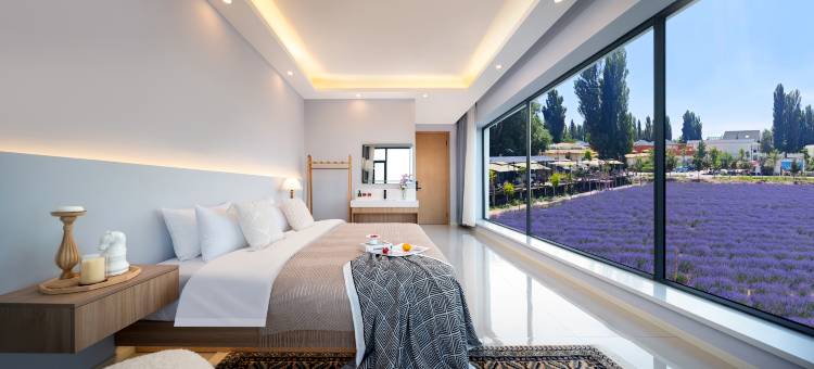 树夏民宿(晃晃村店)图片