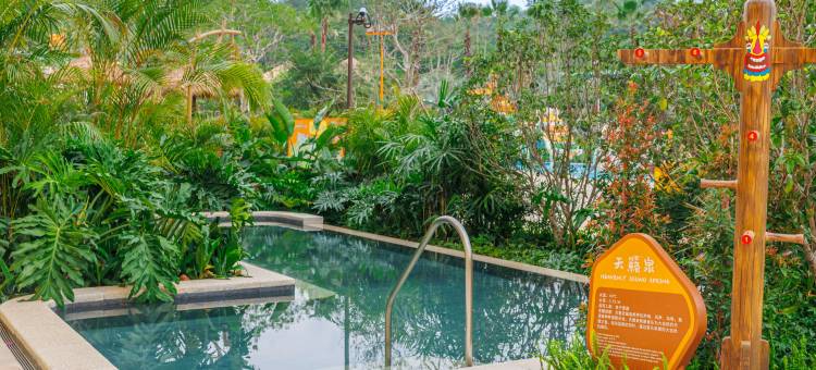 清远长隆长颈鹿城堡酒店图片