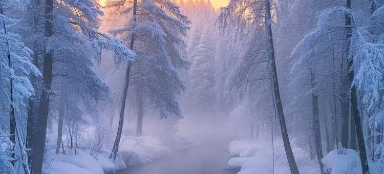 长白山高铁站二道白河美居酒店图片