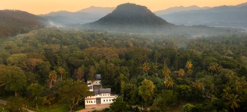 塞伦迪布招牌度假村(Serendib Signature Resort)图片