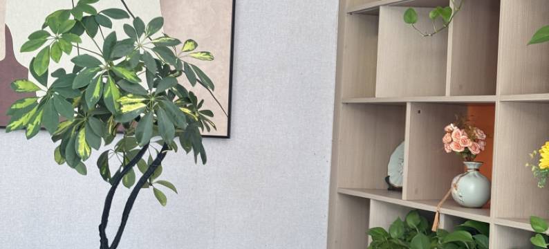 如家素柏·云酒店(蚌埠市固镇县津浦铁路遗址公园店)图片