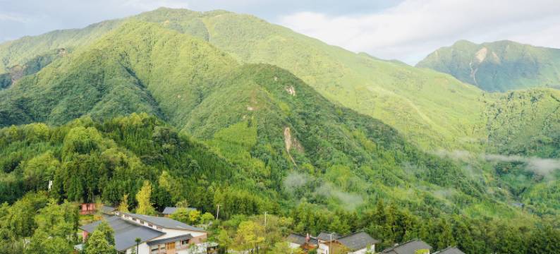 翎谷蔓草度假民宿图片