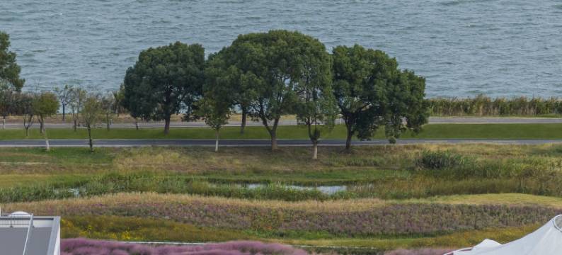 苏州阳澄湖泰康万豪酒店图片