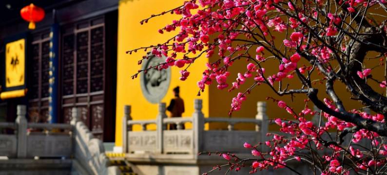 九华山Ksitigarbha┃ 即心智慧庭院高端民宿(九华山风景区店)图片