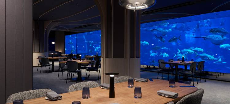 新加坡圣淘沙名胜世界-逸濠别墅(Resorts World Sentosa - Equarius Villas)图片
