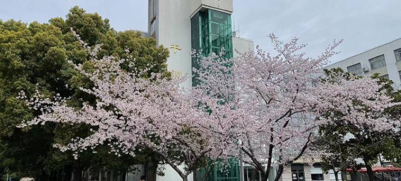 上海同济大学干训楼图片