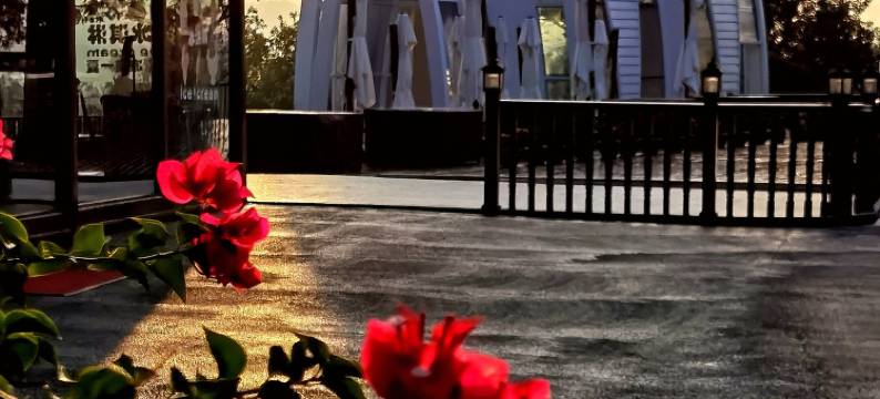 飞天花园酒店图片