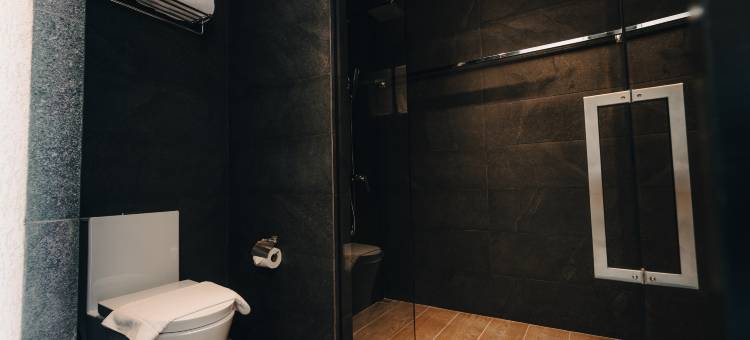 趣狮子 - 蒲甘(The Funny Lion - Puerto Princesa)图片