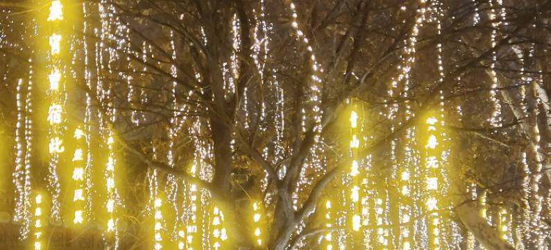 舒享轻舍(西安小寨地铁站店)图片