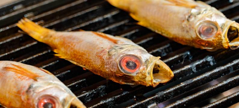 天使格昂迪亚艾格纳卡兹艾拓酒店(Hotel Angel Grandia Echigo-Nakazato)图片