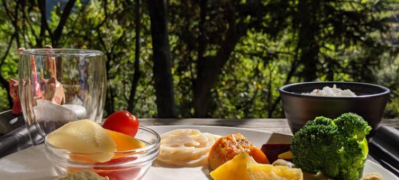 南投森之秘汤图片