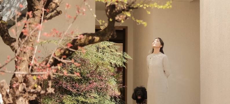 弥山溪云·雪山湖景pu'er茶香度假民宿图片