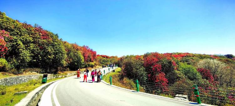 百里杜鹃颐品园宾馆图片