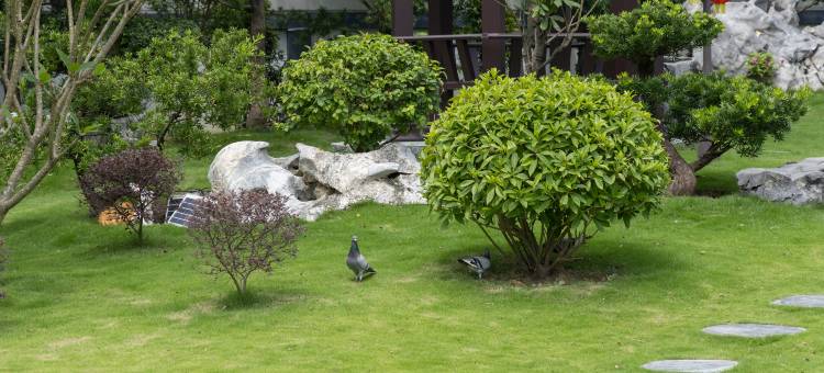 潮州合府庄园图片