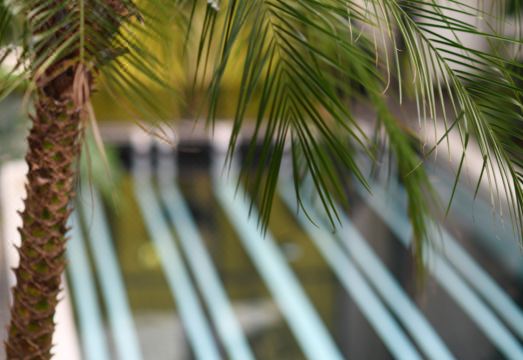 GREY PARROT HOTELSHotel Overview