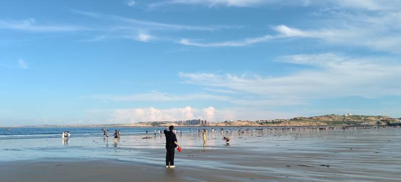 迎客松客栈图片