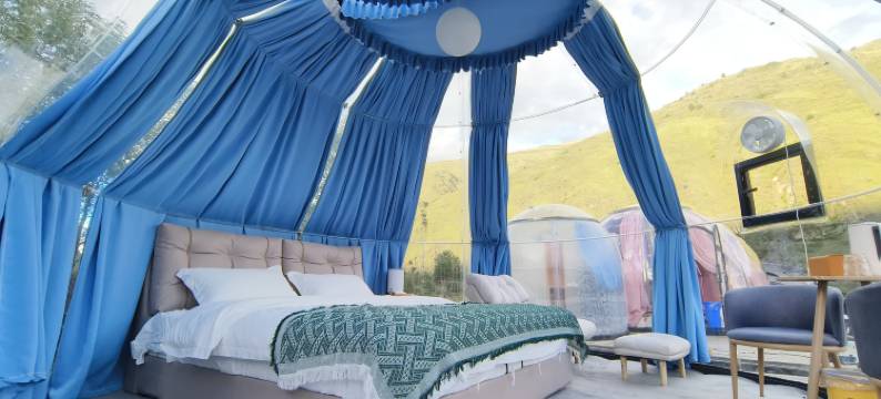 鱼子西雅诺星宿图片