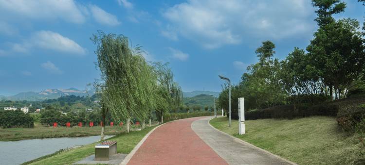 高县逸尘精品酒店(湿地公园店)图片