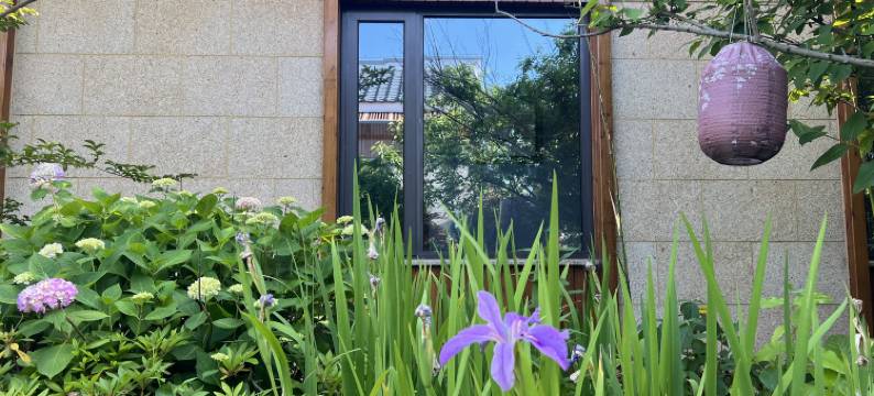 崇明巢吧民宿图片