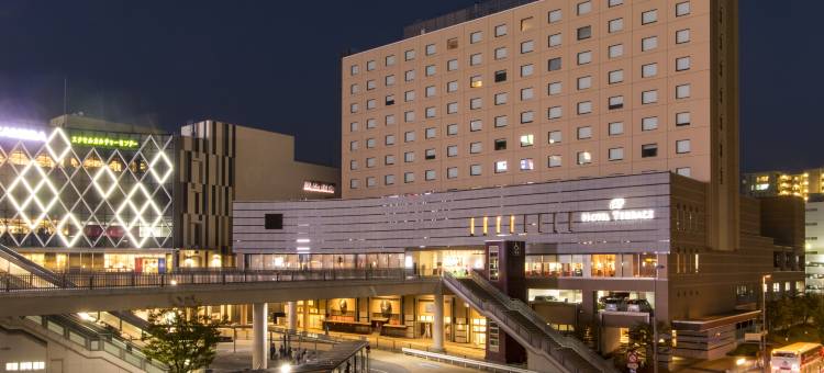 水户露台花园酒店(Hotel Terrace the Garden Mito)图片