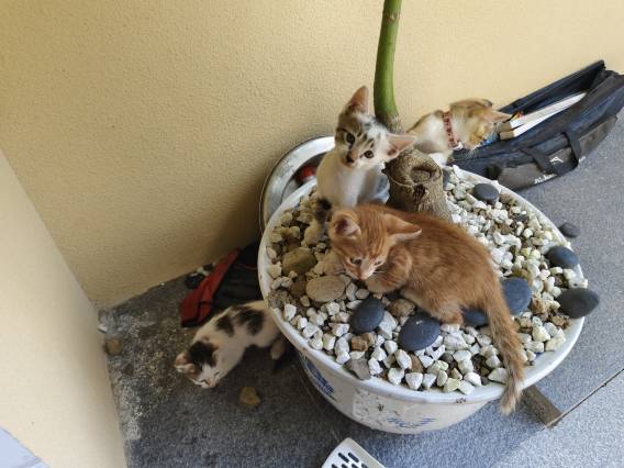 晚风遇见你民宿(大鱼海棠云水谣景区店)图片