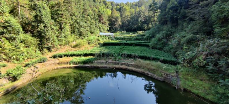 潜山瘦牛岭客栈图片