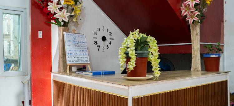 瑞德多兹 @ 赫尔格姆锡亚高因(RedDoorz @ Hergem Siargao Inn)图片