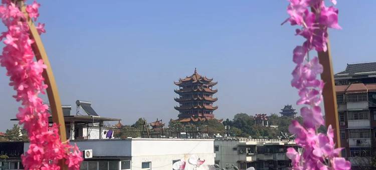 海友酒店(武汉黄鹤楼长江大桥店)图片